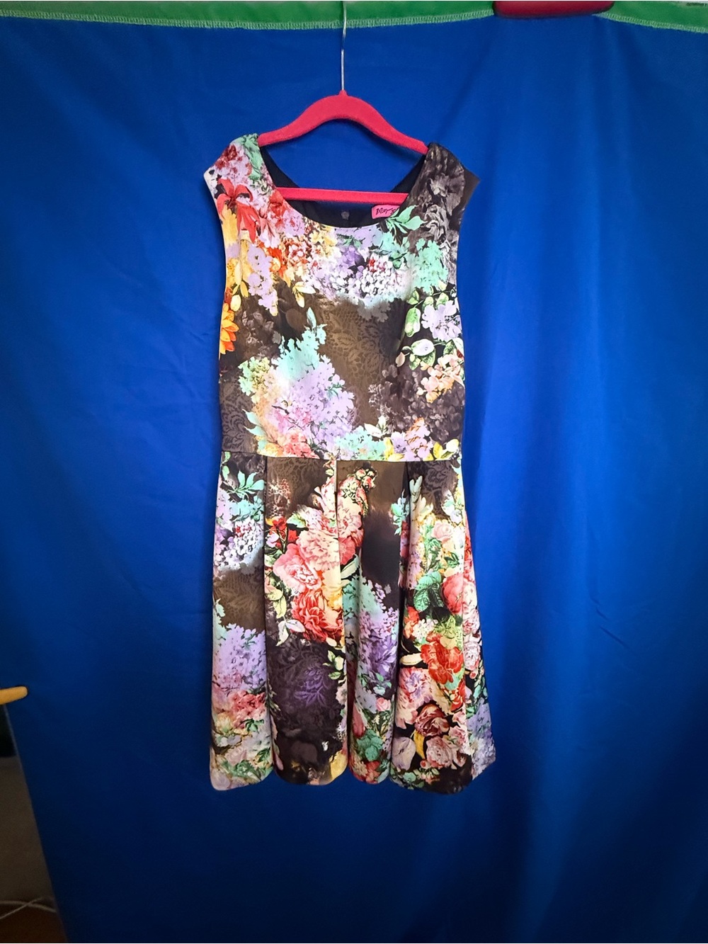 Betsey Johnson Floral Fit-and-Flare Dress in Black and Multicolor size 2
